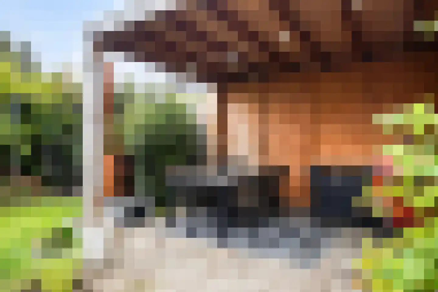 Zuster Spinhovenlaan 6 Bunnik thumbnail 19