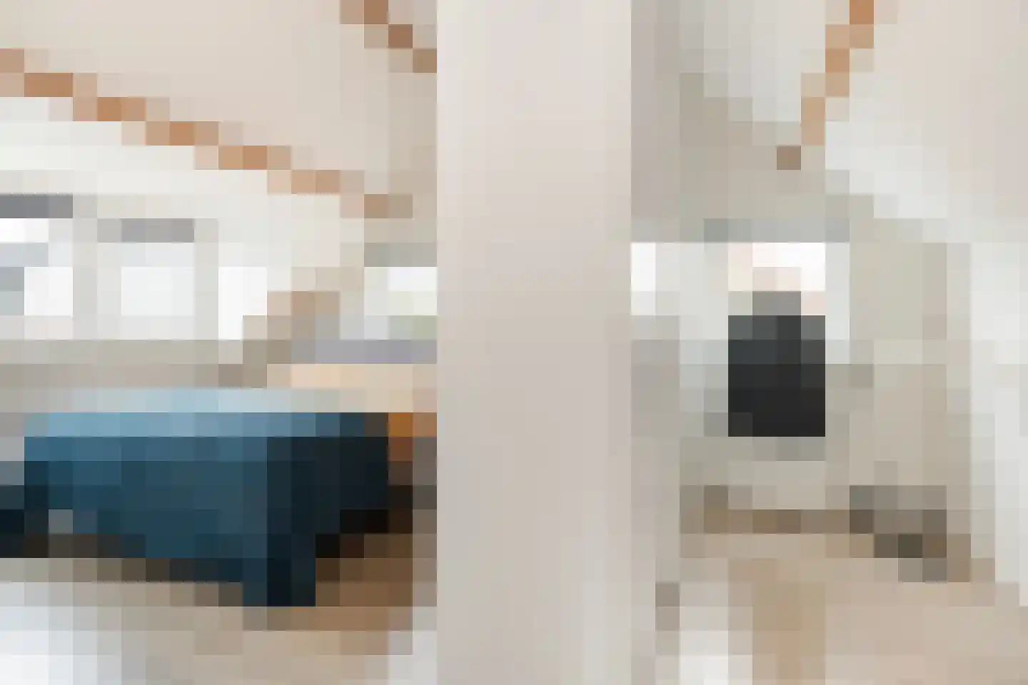 Zuster Spinhovenlaan 6 Bunnik thumbnail 33