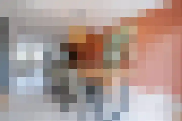 Zuster Stellalaan 11 Heeze thumbnail 11