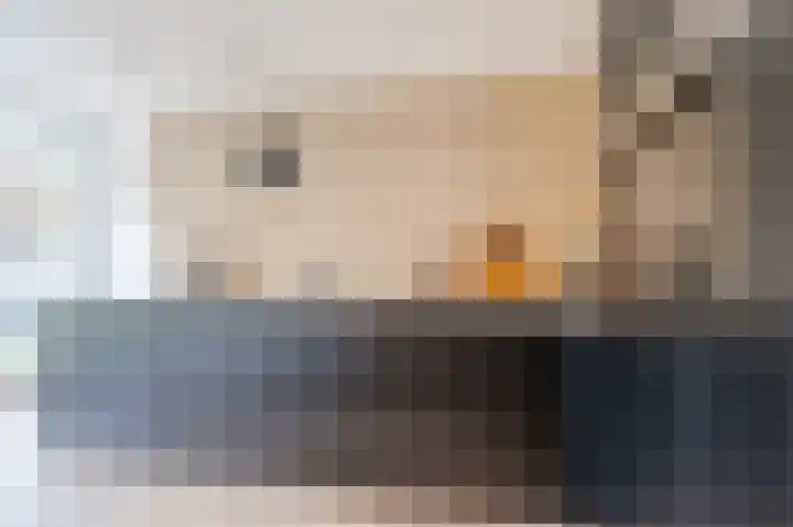 Zuster Stellalaan 11 Heeze thumbnail 15