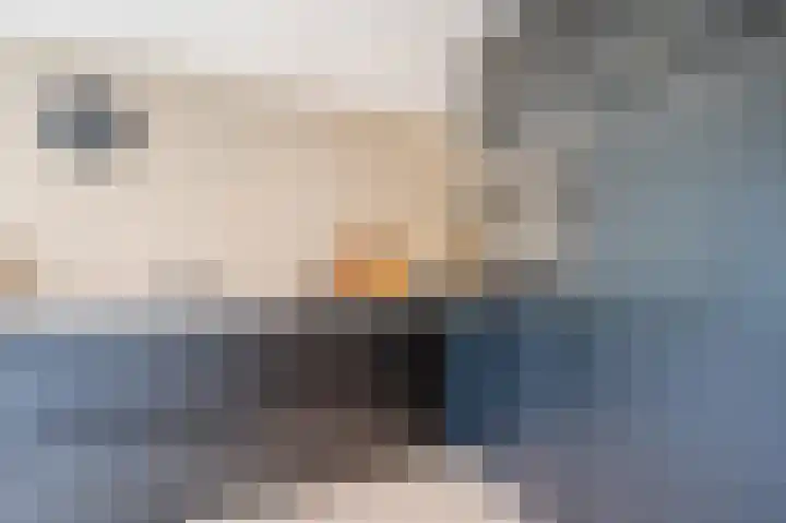 Zuster Stellalaan 11 Heeze thumbnail 16