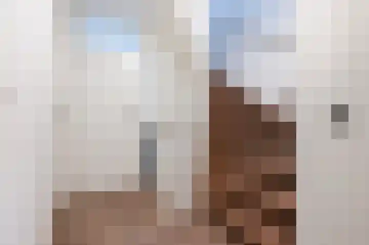 Zuster Stellalaan 11 Heeze thumbnail 19