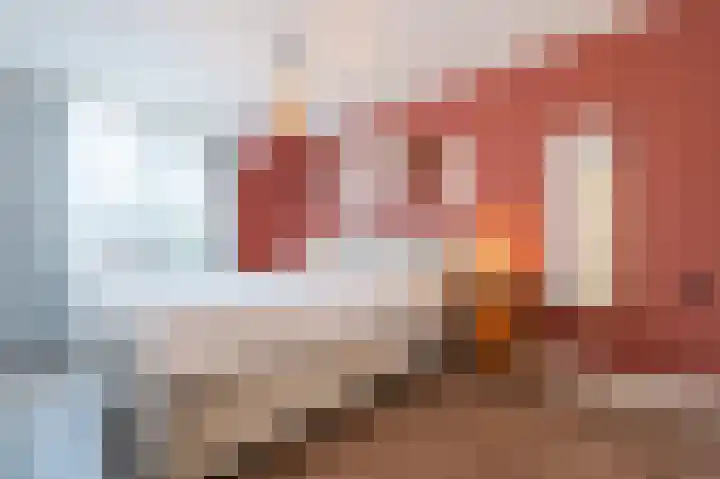 Zuster Stellalaan 11 Heeze thumbnail 24