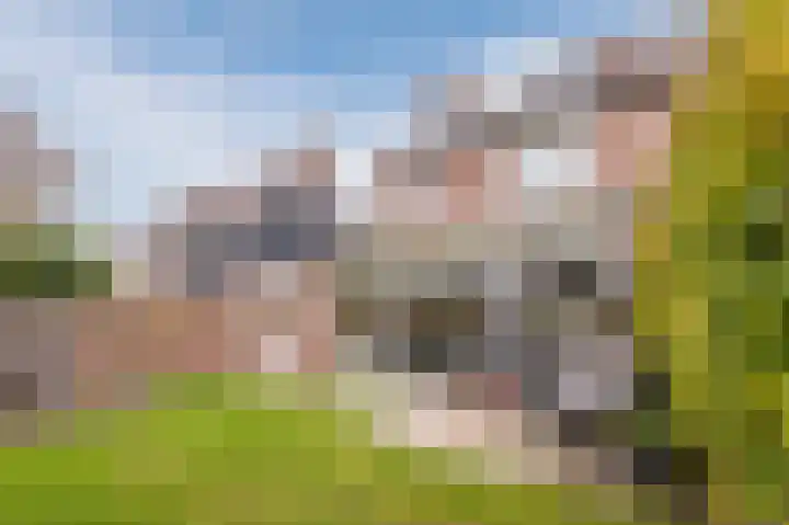 Zuster Stellalaan 11 Heeze thumbnail 33