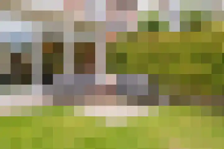 Zuster Stellalaan 11 Heeze thumbnail 34