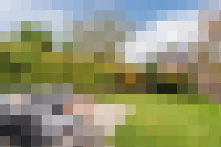 Zuster Stellalaan 11 Heeze thumbnail 35