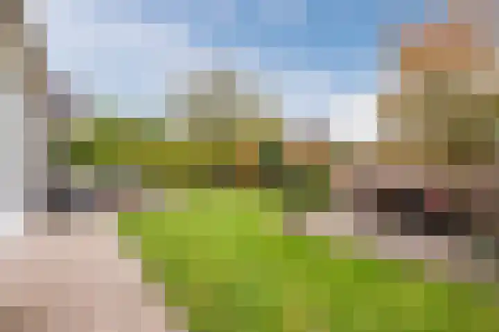 Zuster Stellalaan 11 Heeze thumbnail 36