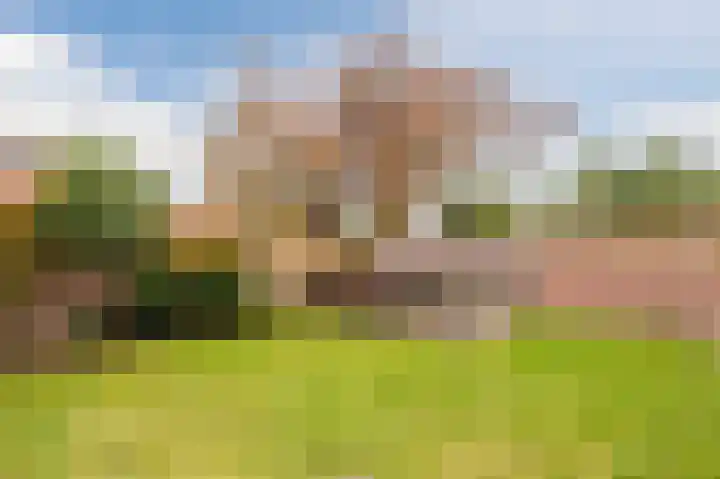 Zuster Stellalaan 11 Heeze thumbnail 37