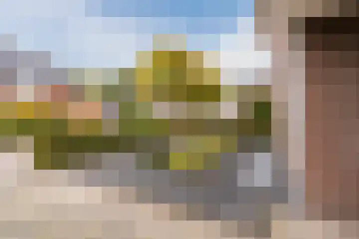 Zuster Stellalaan 11 Heeze thumbnail 39