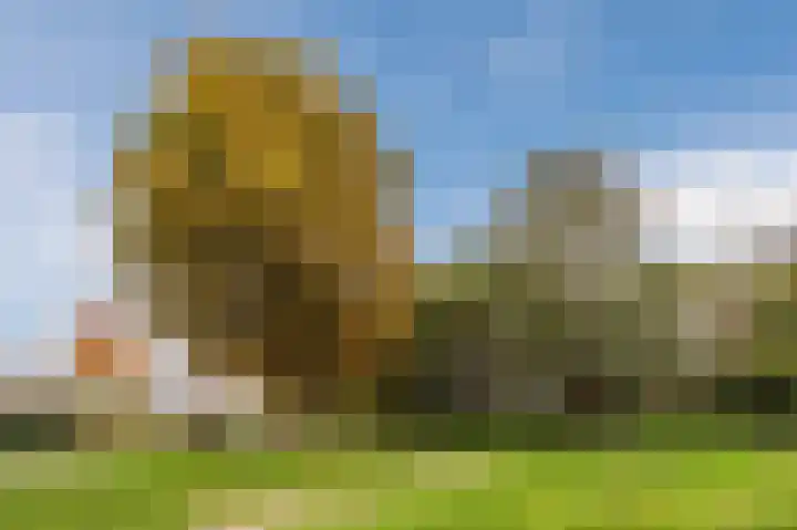 Zuster Stellalaan 11 Heeze thumbnail 41