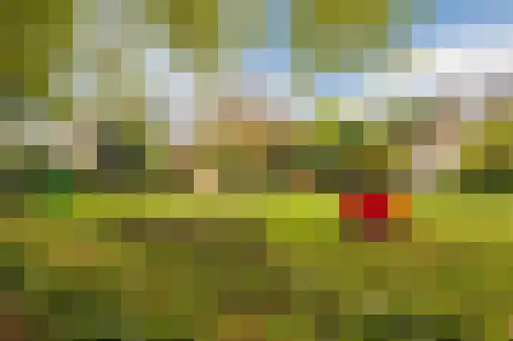 Zuster Stellalaan 11 Heeze thumbnail 42