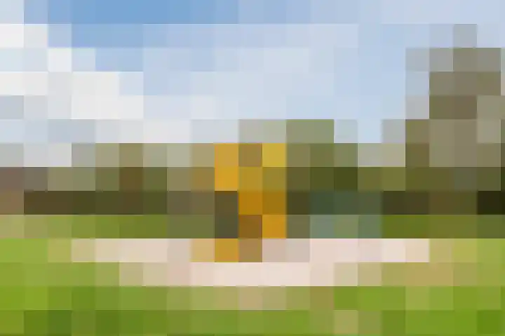 Zuster Stellalaan 11 Heeze thumbnail 43