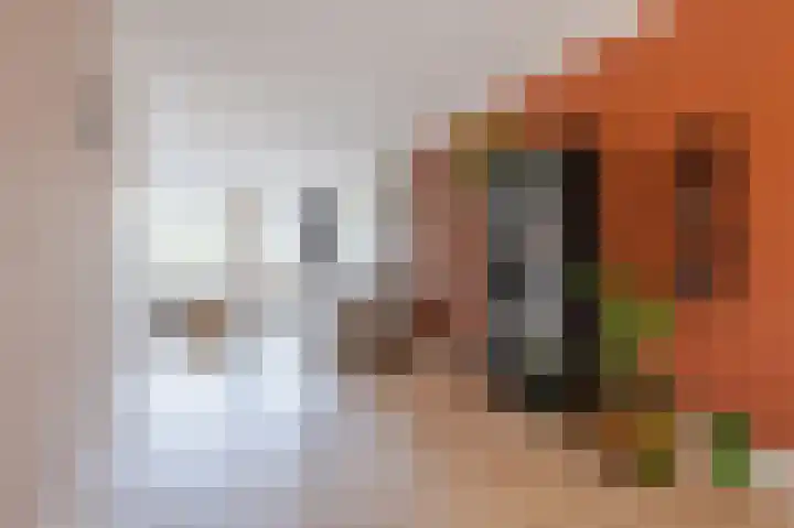 Zuster Stellalaan 11 Heeze thumbnail 7