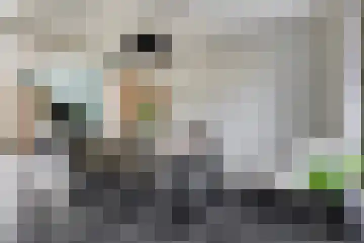 Zuster Stellalaan 33 Heeze thumbnail 14