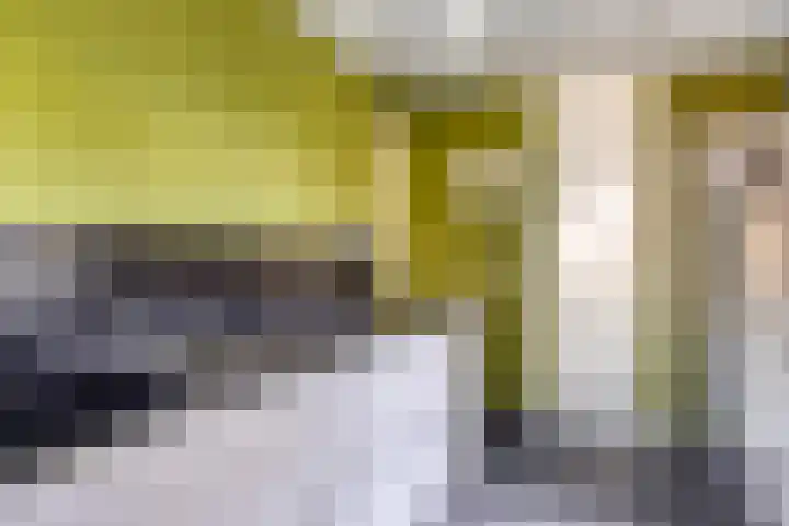 Zuster Stellalaan 33 Heeze thumbnail 16