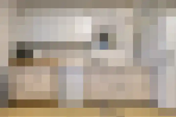 Zuster Stellalaan 33 Heeze thumbnail 23