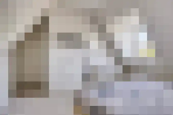 Zuster Stellalaan 33 Heeze thumbnail 29