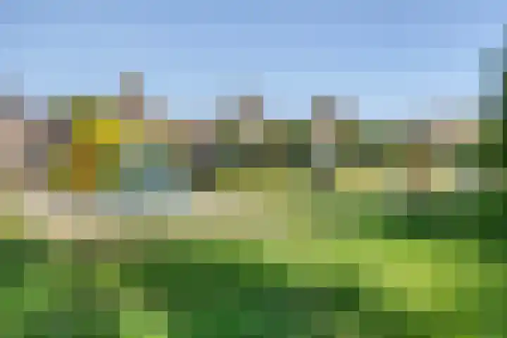 Zuster Stellalaan 33 Heeze thumbnail 34