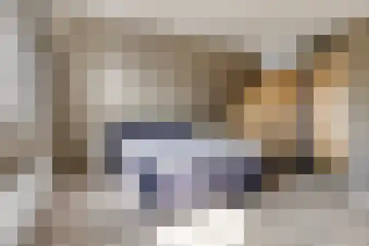 Zuster Stellalaan 33 Heeze thumbnail 4
