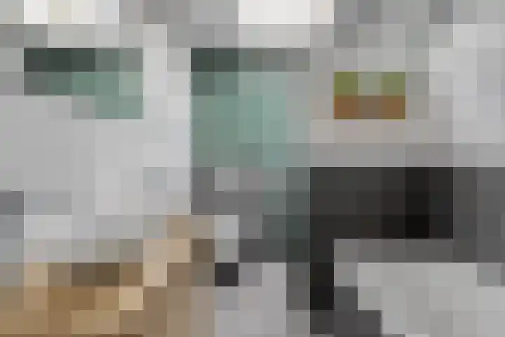 Zuster Stellalaan 33 Heeze thumbnail 5