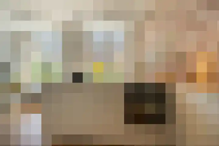 Zuster Van Dijkplein 25 Rotterdam thumbnail 11