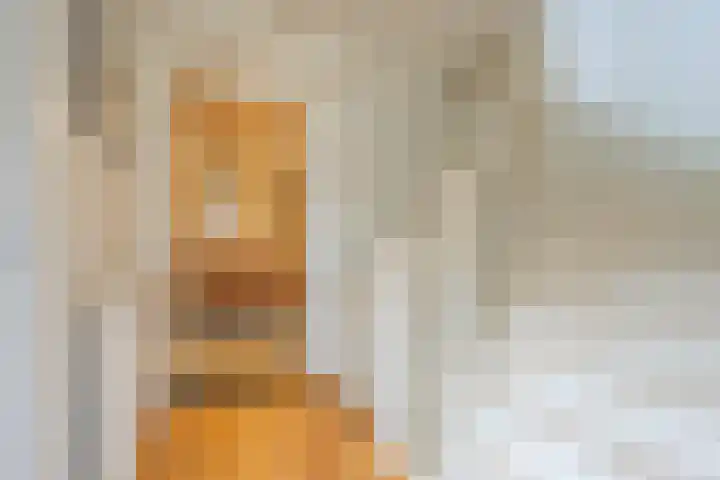 Zuster Van Dijkplein 25 Rotterdam thumbnail 16