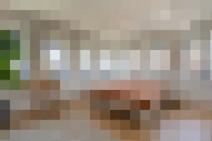 Zuster Van Dijkplein 25 Rotterdam thumbnail 17
