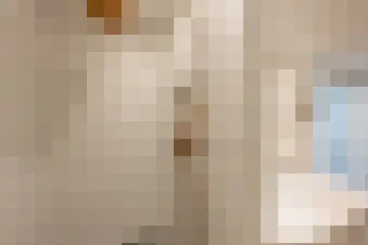 Zuster Van Dijkplein 25 Rotterdam thumbnail 23