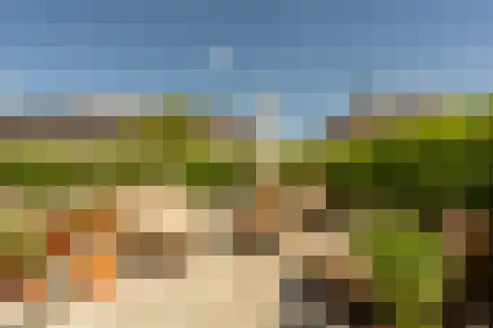 Zuster Van Dijkplein 25 Rotterdam thumbnail 31
