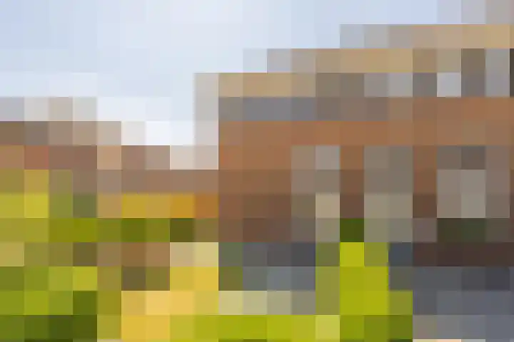 Zuster Van Dijkplein 25 Rotterdam thumbnail 32