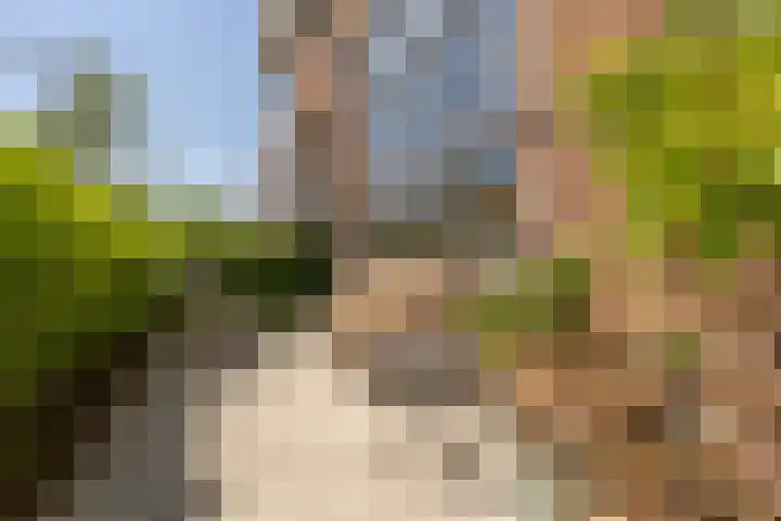 Zuster Van Dijkplein 25 Rotterdam thumbnail 34