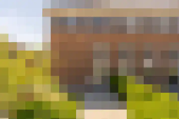 Zuster Van Dijkplein 25 Rotterdam thumbnail 36