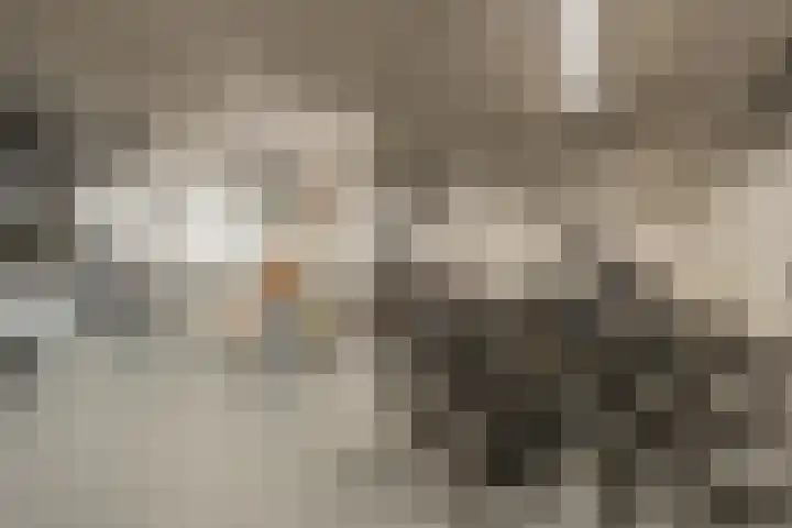 Zuster Van Dijkplein 25 Rotterdam thumbnail 38