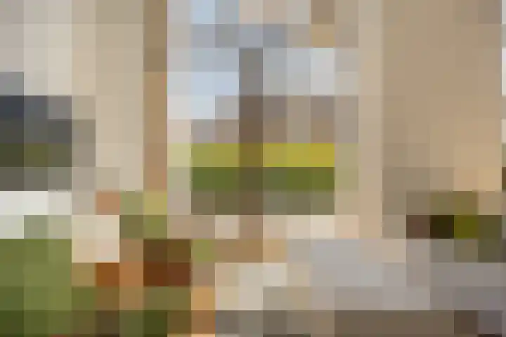 Zuster Van Dijkplein 25 Rotterdam thumbnail 4