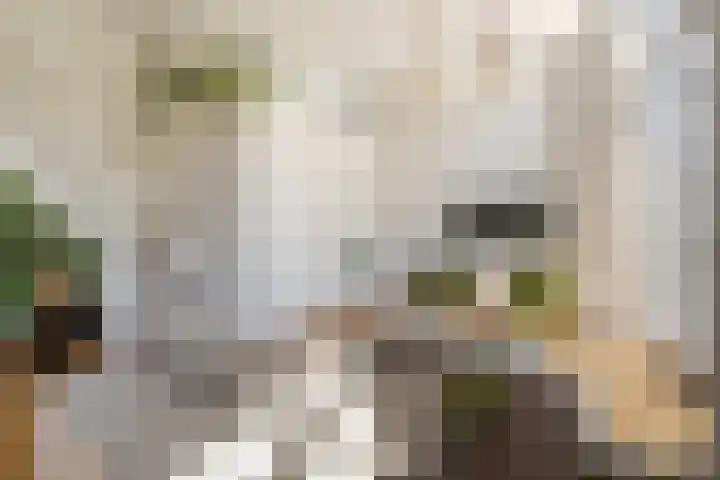 Zuster Van Dijkplein 25 Rotterdam thumbnail 6