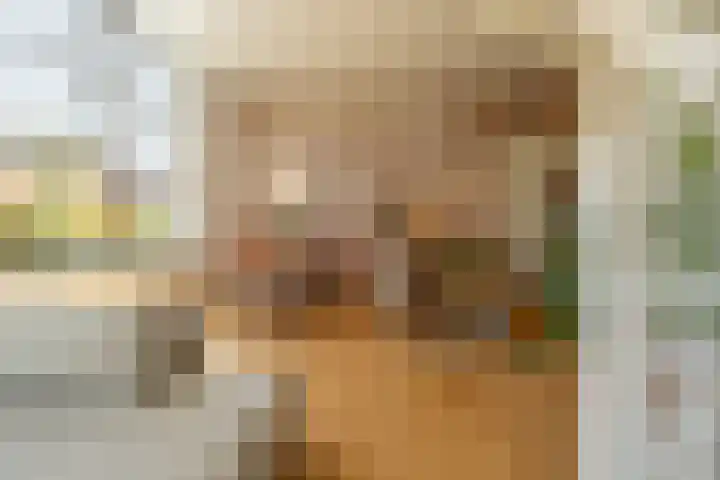 Zuster Van Dijkplein 25 Rotterdam thumbnail 7