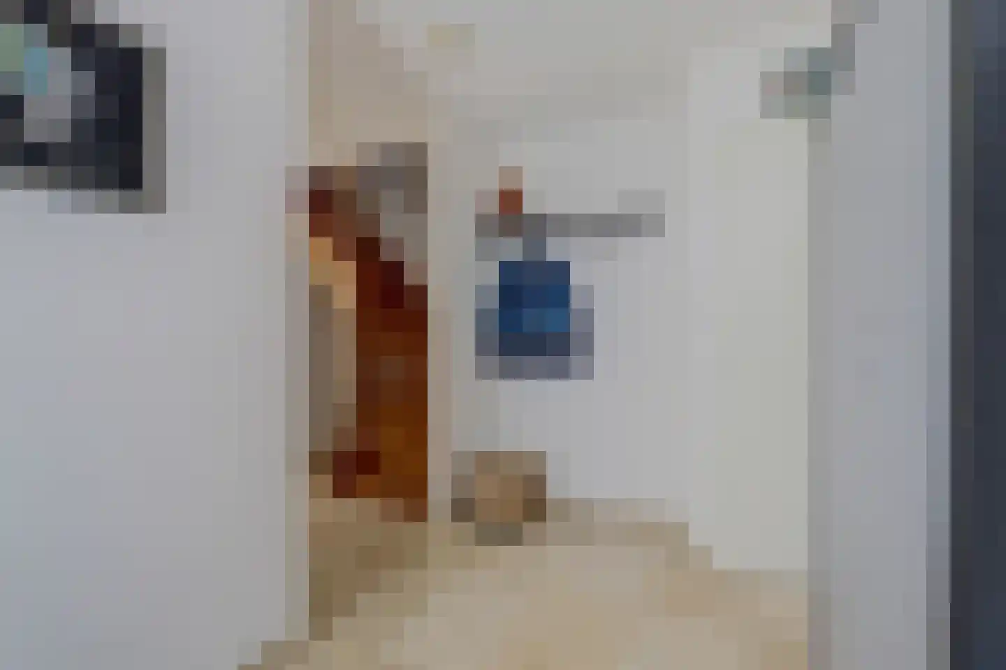 Zuster Van Donkstraat 6 Arnemuiden thumbnail 13