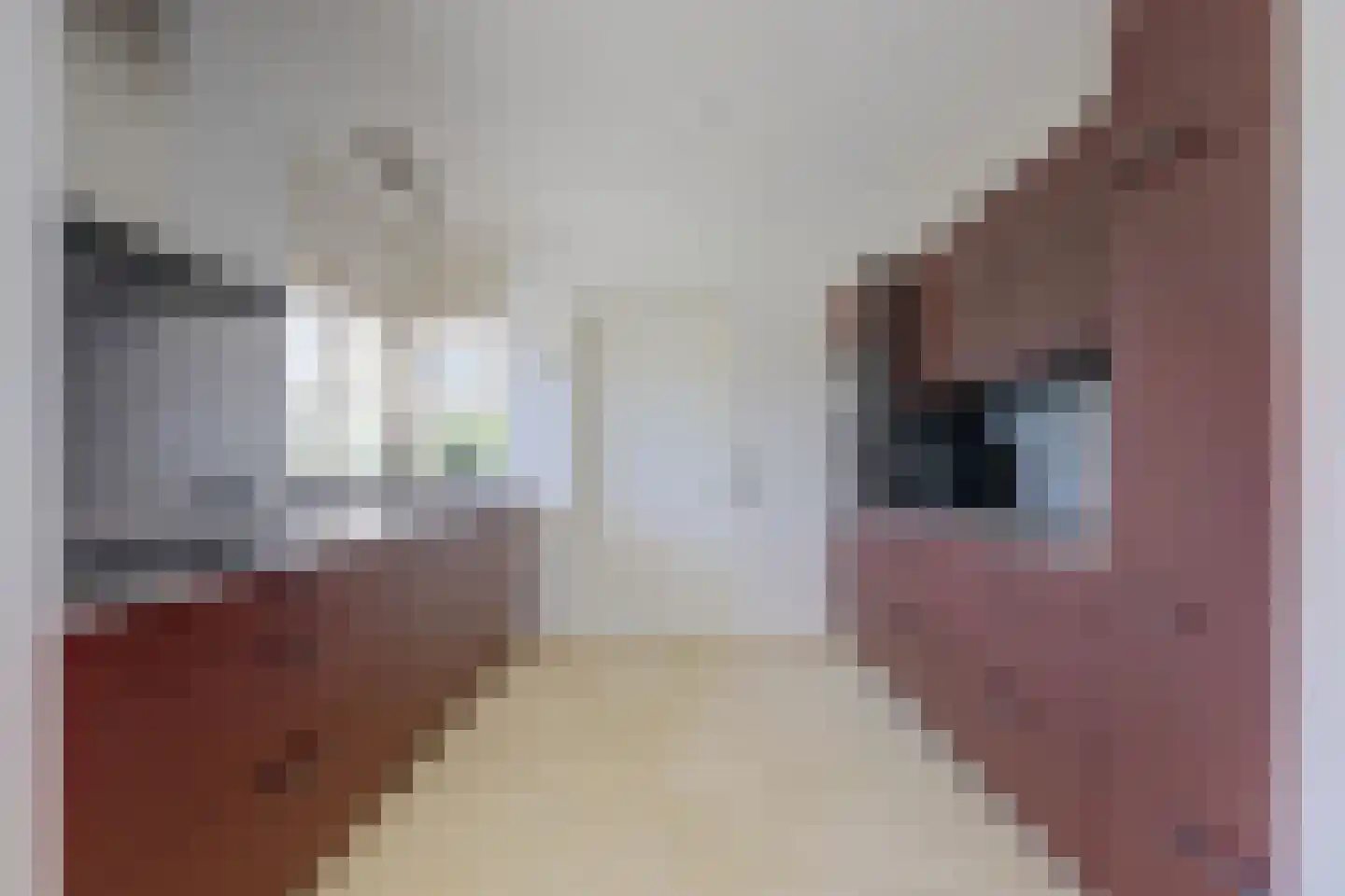 Zuster Van Donkstraat 6 Arnemuiden thumbnail 24