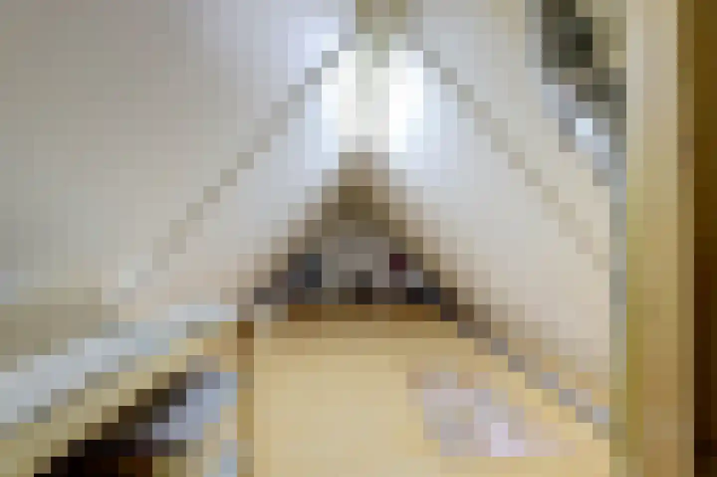 Zuster Van Donkstraat 6 Arnemuiden thumbnail 46