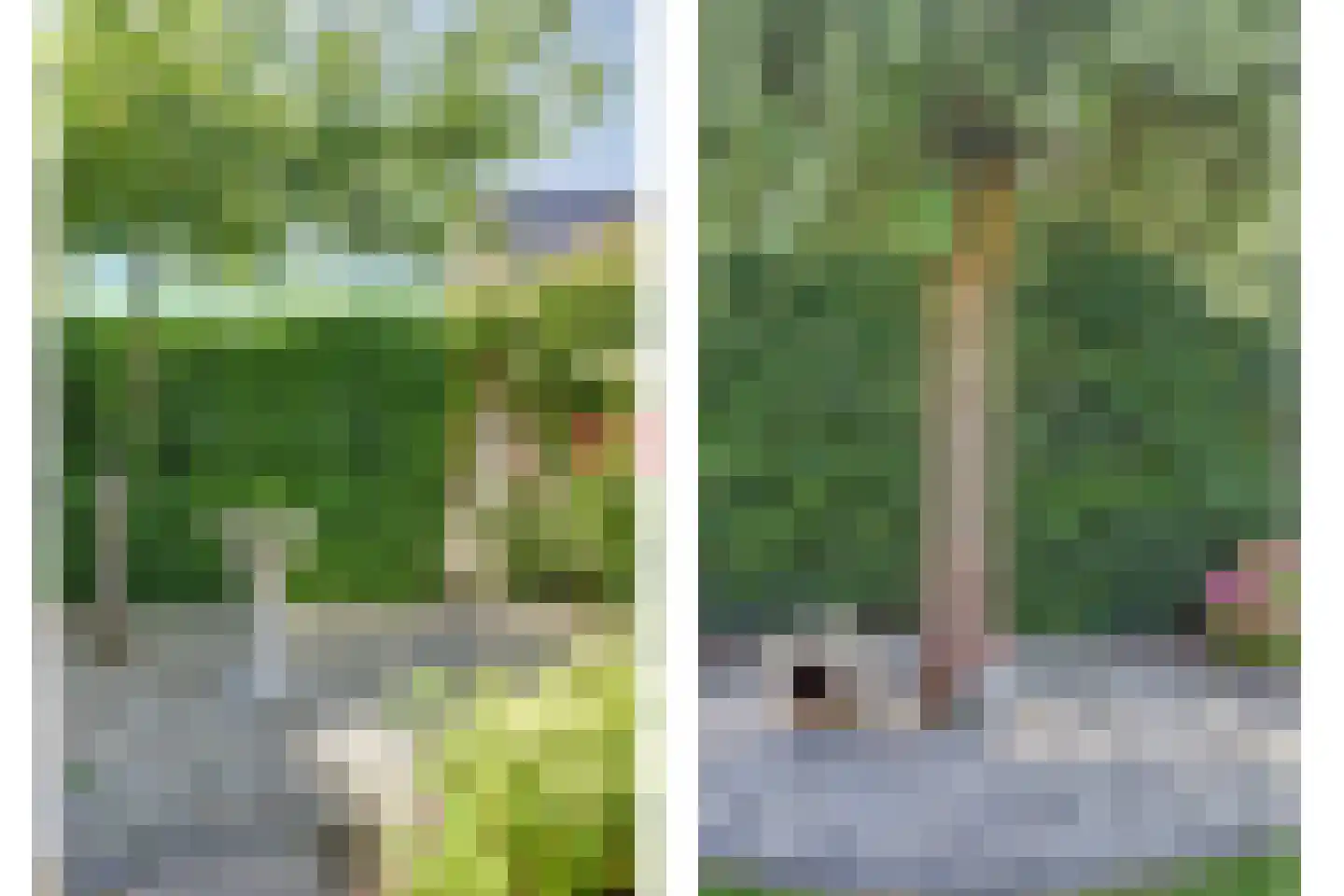 Zuster Van Donkstraat 6 Arnemuiden thumbnail 59