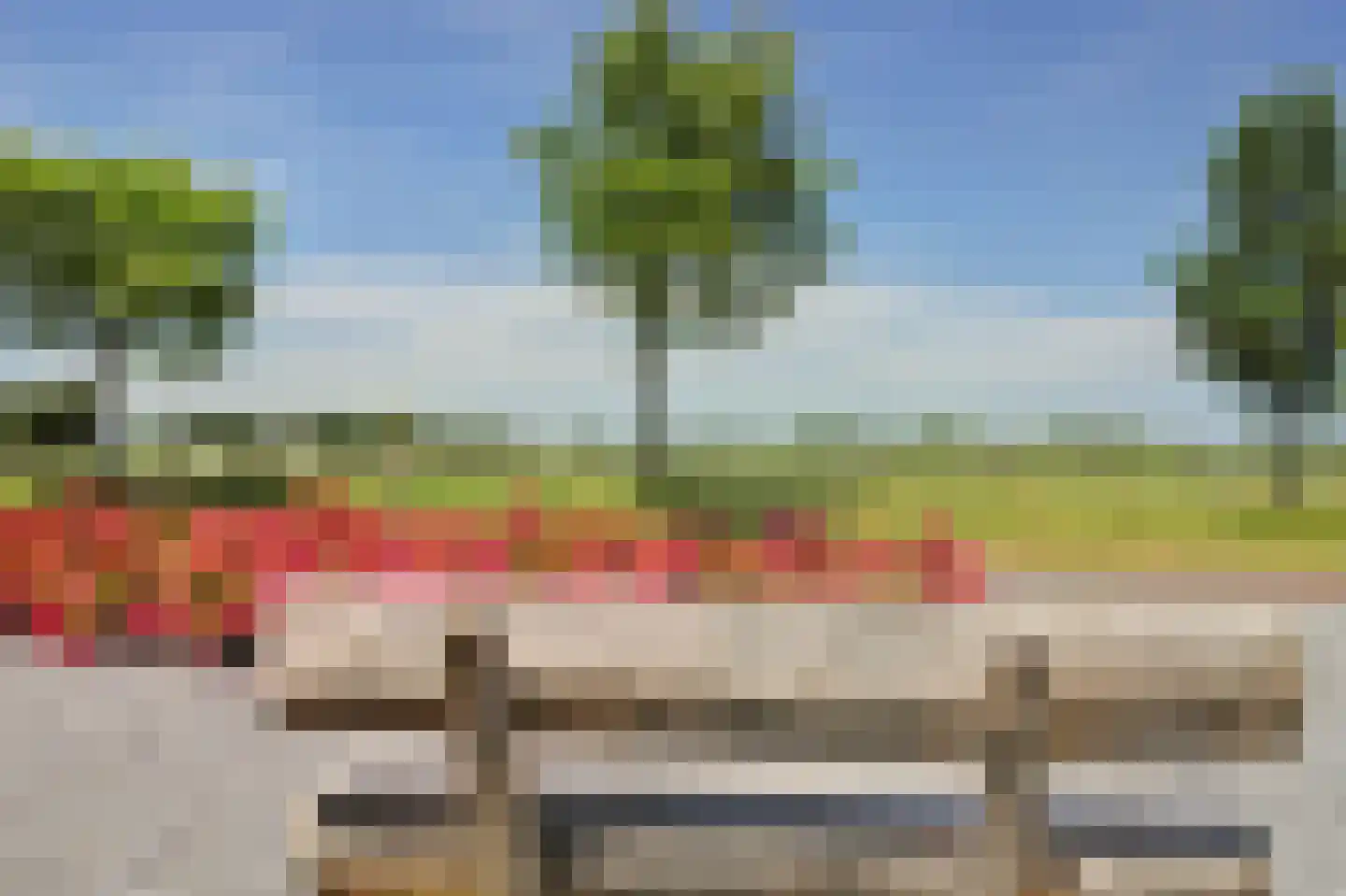Zuster Van Donkstraat 6 Arnemuiden thumbnail 9