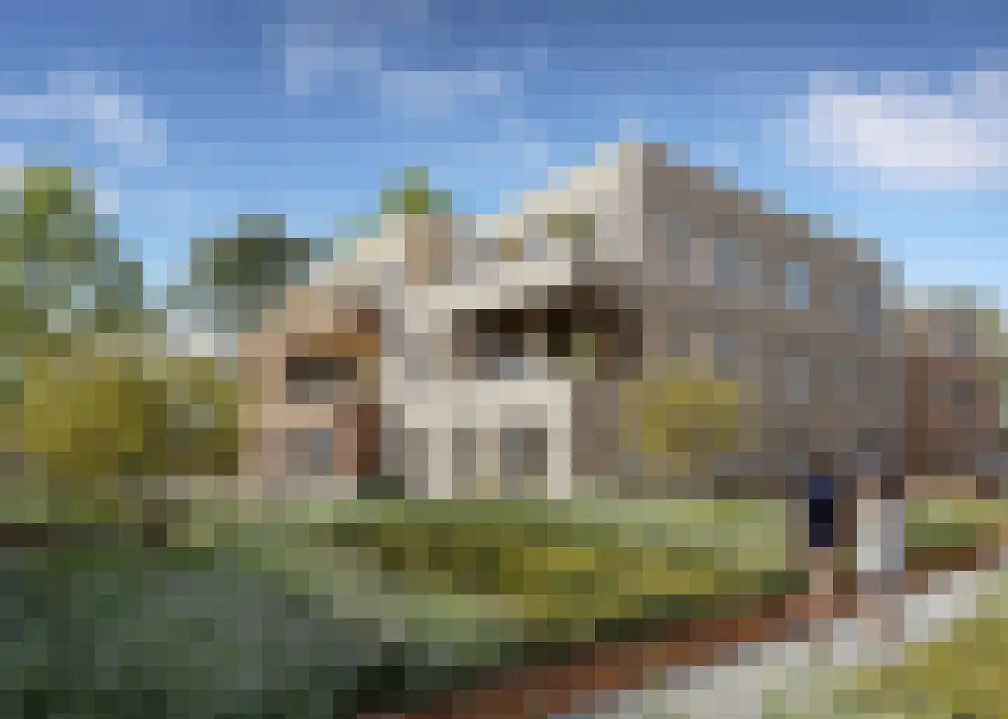 Zuster van Lonkhuijzenhof 15 Rhenen thumbnail 6