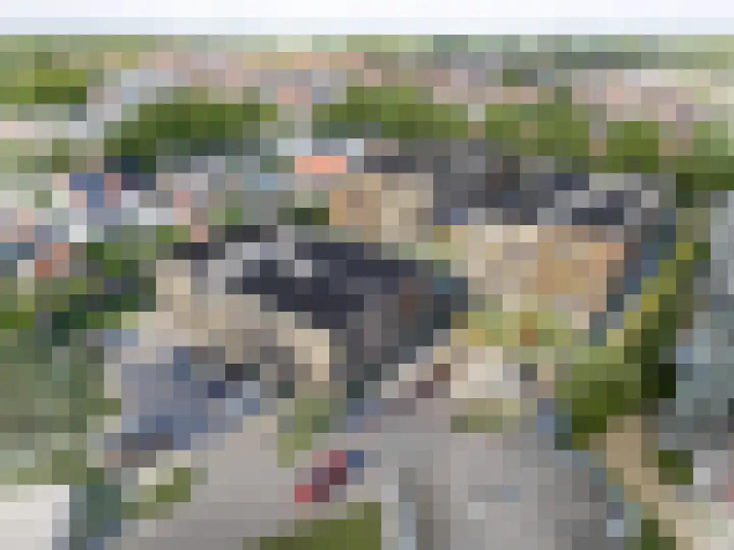 Zuster van Lonkhuijzenhof 15 Rhenen thumbnail 8