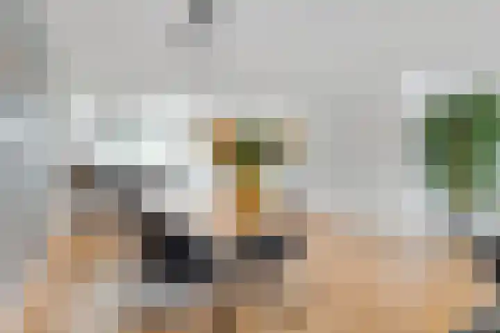 Zuster van Overeemlaan 20 Den Dolder thumbnail 10