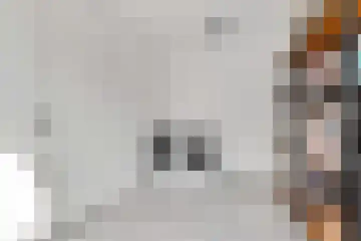 Zuster van Overeemlaan 20 Den Dolder thumbnail 11