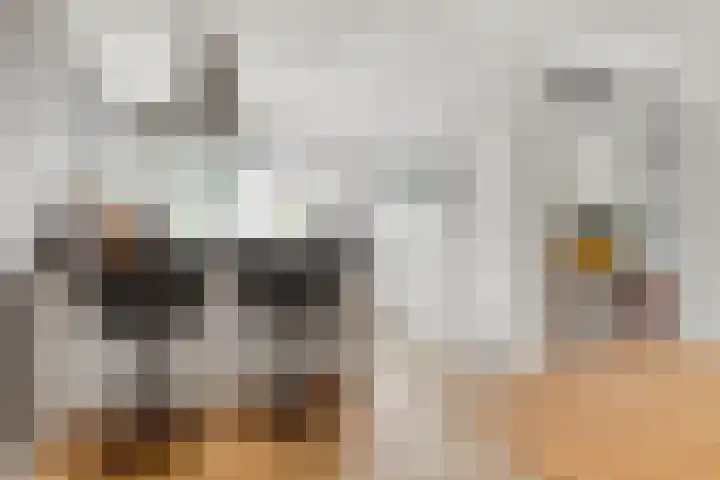 Zuster van Overeemlaan 20 Den Dolder thumbnail 12