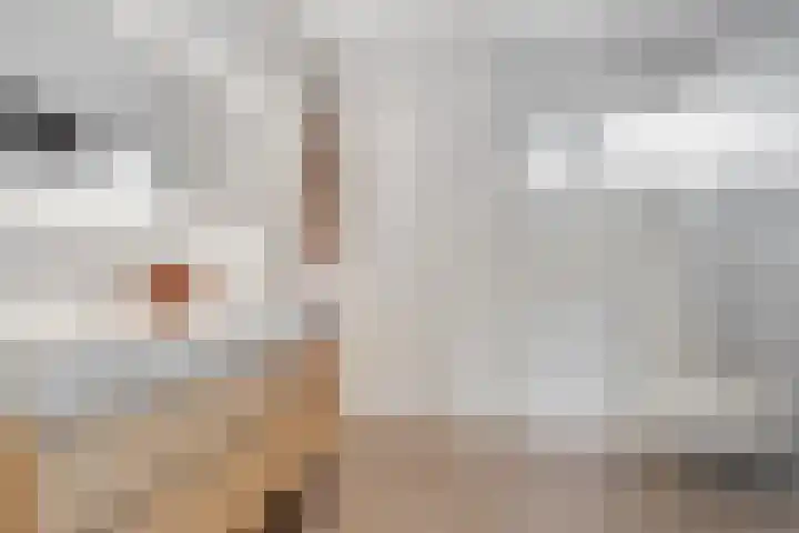 Zuster van Overeemlaan 20 Den Dolder thumbnail 17