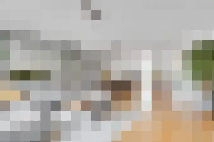 Zuster van Overeemlaan 20 Den Dolder thumbnail 8