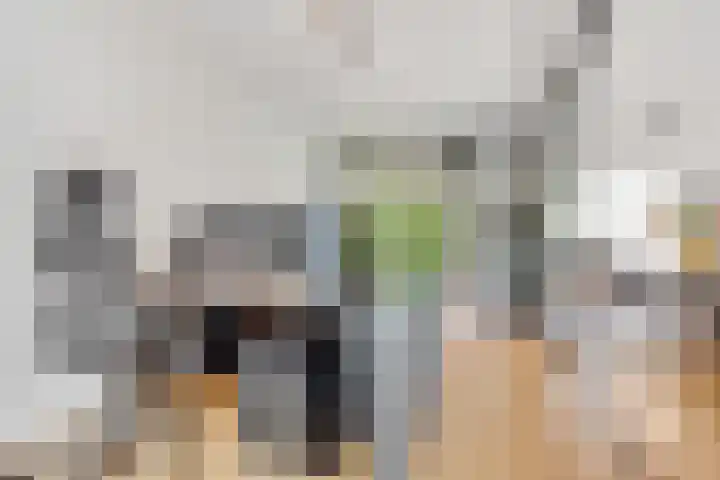 Zuster van Overeemlaan 20 Den Dolder thumbnail 9