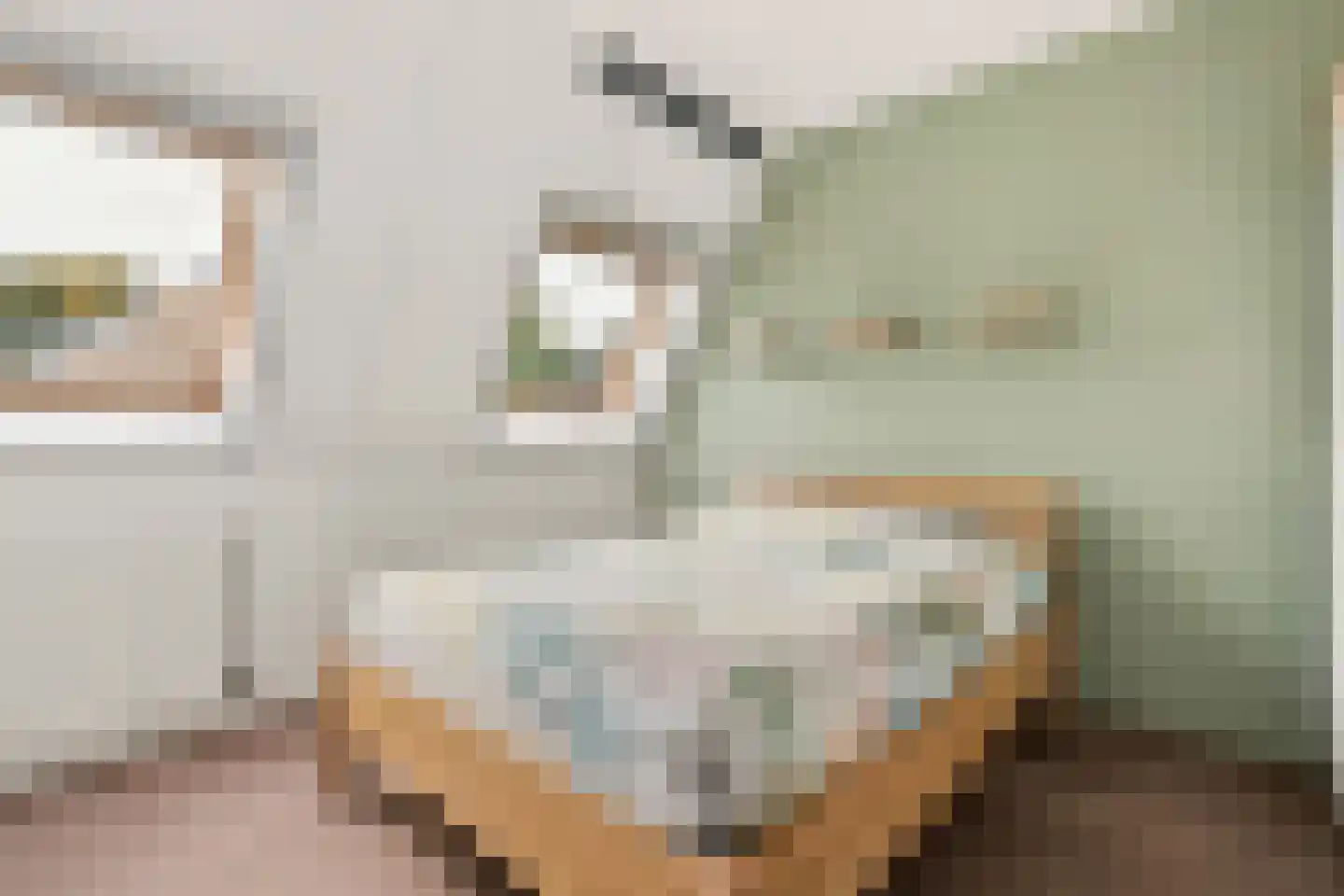 Zuster van Rossumweg 22 Emst thumbnail 13